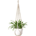 Macrame Indoor Hanging Plant Hanger Basket