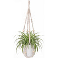 Indoor Macrame Plant Pot Holder Hanger