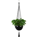 Boho Macrame Indoor Plant Hanger
